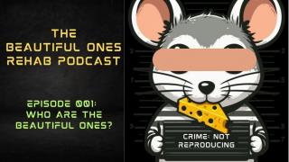 The Beautiful Ones Rehab Podcast 001: Who Are The Beautiful Ones?