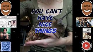 You can't have nice things
