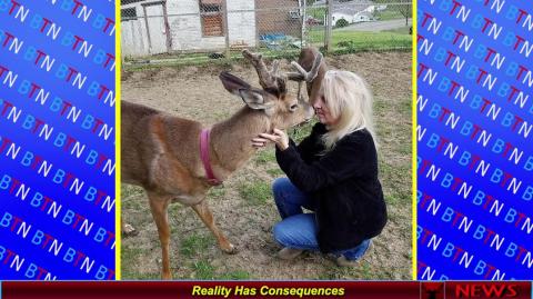 Reality Has Consequences