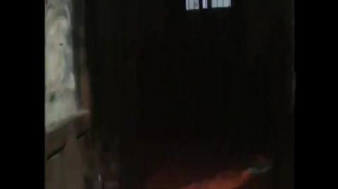 The assassination  of Trotsky