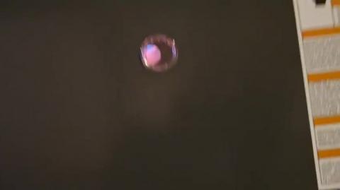 Stepping Up - My stairs are WAY better than his......  He is not real sharp in the engineering side of things.