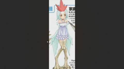 AgentofSocialMediaChaos's Waifu of the Day Season 4 Episode 331 Poultry Harpy