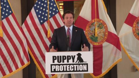 Governor DeSantis Announces Legislation to Protect Puppies