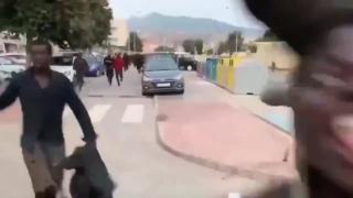 New Arrivals - Spain