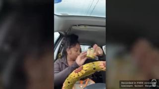 BABOON MONKEY ASS NIGGERS STEALING THIEVES