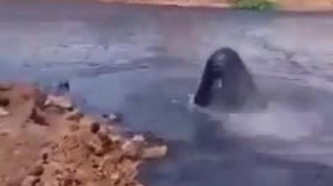 Come and listen to my story about a man named Jed