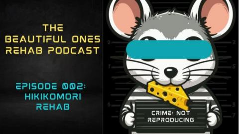 002: Hikikomori Rehab (The Beautiful Ones Rehab Podcast)