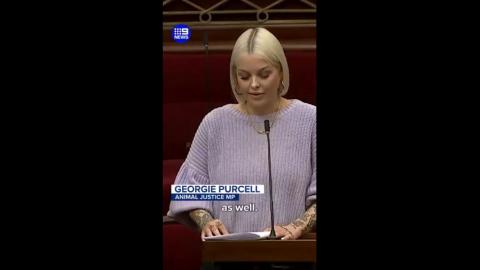 Victorian Minister discusses her experience of sexual harassment in Victorian parliament