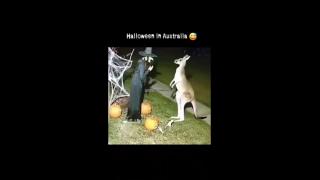 Halloween in Australia