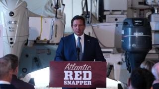 Governor DeSantis Makes Atlantic Red Snapper Announcement