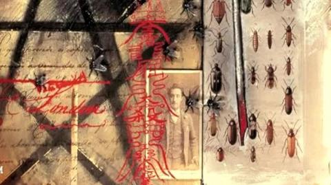 State of Emergency - #chickasha #ninnekah #oklahoma