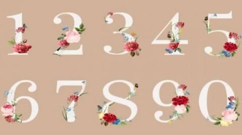 NÚMEROS MATEMÁTICA E A SOCIEDADE LÍQUIDA