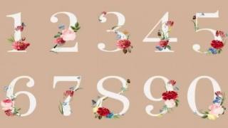 NÚMEROS MATEMÁTICA E A SOCIEDADE LÍQUIDA