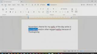 Announcing November's Waifu of the Day Theme