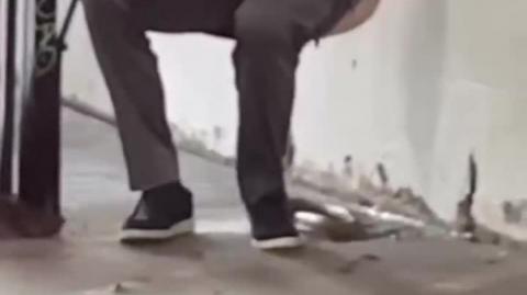 It's what they do-do