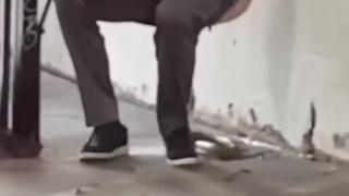 It's what they do-do