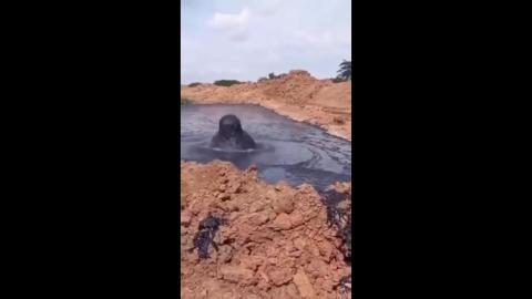 Come and listen to my story about a man named Jed