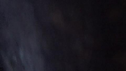 732a Masculism and the Great Feminization, Part 1 (Masculism, MGTOW)