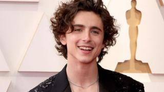 Timothée Chalamet Enrages Childless Feminists by Being Normal