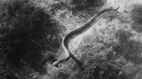 5 Times Special Forces Battled Something Not Quite Human