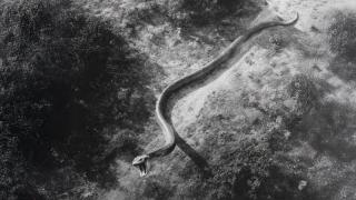 5 Times Special Forces Battled Something Not Quite Human