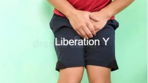 The Junk Files # 2  the Groin Shots  -->  MGTOW