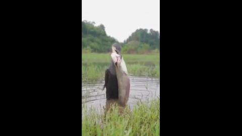 God Fuck - This Bird just ate a HUGE fish