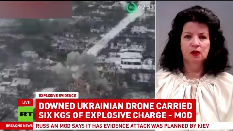 'Kiev regime attempting terrorism means they're actually losing' — Sonja van den Ende