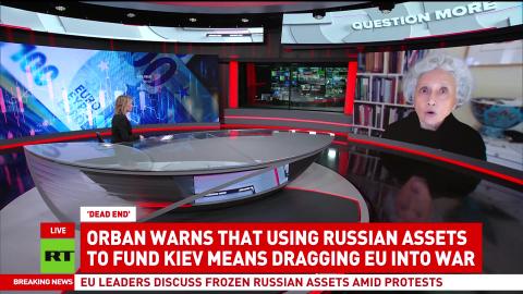 EU divided over frozen Russian assets — professor Radhika Desai