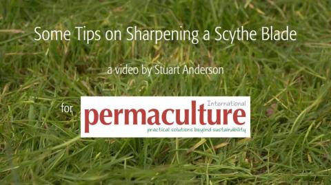 How to Sharpen a Scythe Safely and Effectively