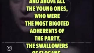 Women & Their Cucks Are Whackos