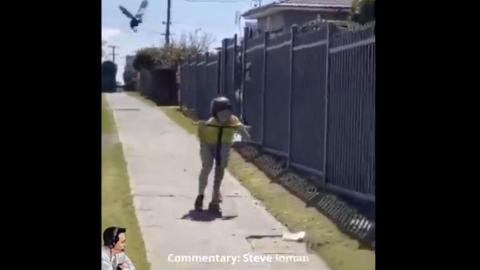 Australian Birds Eat People