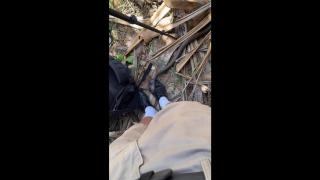 Brown Snake in Australia