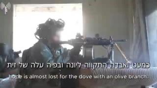 Flowers in the Barrel - פרחים בקנה