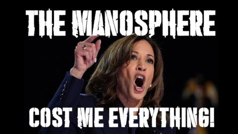 THE MANOSPHERE cost me everything!! Kamala Harris blames MEN for her failure!!