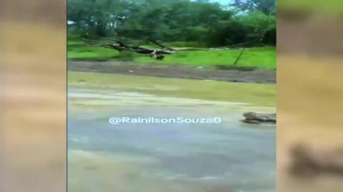 Just some crocodile-infested waters