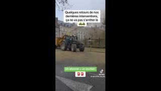 French farmers stand up against the Govt's mass slaughter of cows over a fake disease