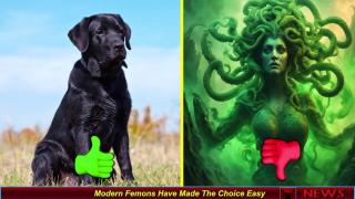 Modern Femons Have Made The Choice Easy