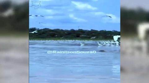 Just some crocodile-infested waters