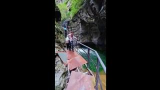 A bridge not too far - Zero situational awareness - Zero self preservation skills