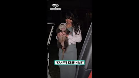 Would you let your girlfriend keep an Opossum