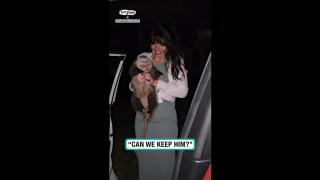 Would you let your girlfriend keep an Opossum