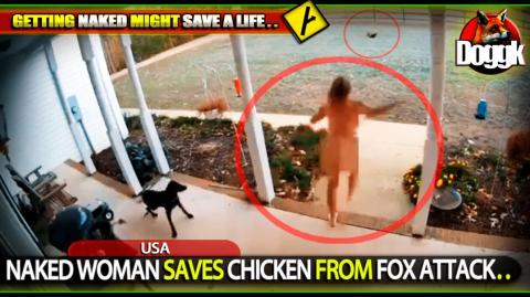 NAKED WOMAN SAVES CHICKEN FROM FOX ATTACK.. (USA) >> CLEVER & FUNNY !! MUST SEE ^^