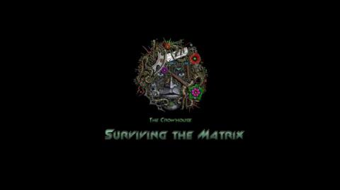 Max Igan - The Crowhouse - Conquering The World By Stealth