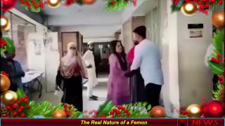 The Real Nature of a Femon