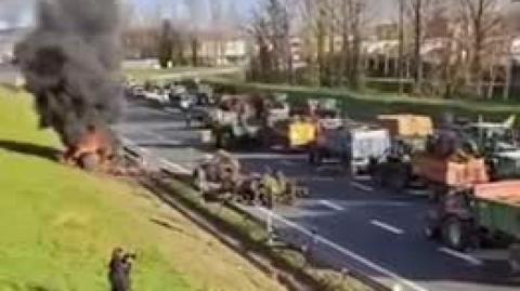 French farmers stand up against the Govt's mass slaughter of cows over a fake disease