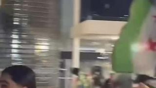 they should not be partying at the cost of innocence