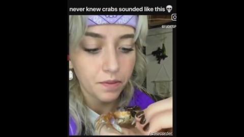 Crabs make a funny noise