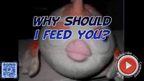 Why should I feed you?