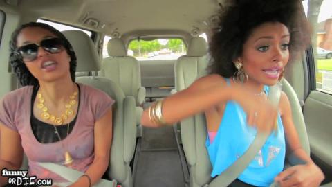 Black and Jewish (Black and Yellow Parody)